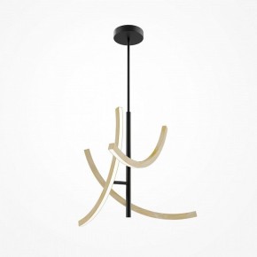 Люстра на штанге Maytoni Wabi MOD428PL-L27BK в Можге - mozhga.ok-mebel.com | фото 5