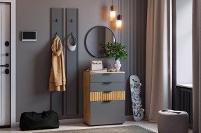 МЕБЕЛЬСОН К21 Прихожая  (графит) в Можге - mozhga.ok-mebel.com | фото