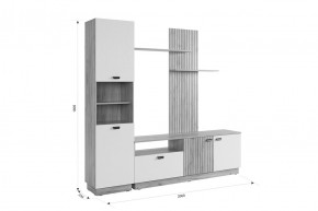 МОДИ Гостиная (модульная) белое дерево в Можге - mozhga.ok-mebel.com | фото 2