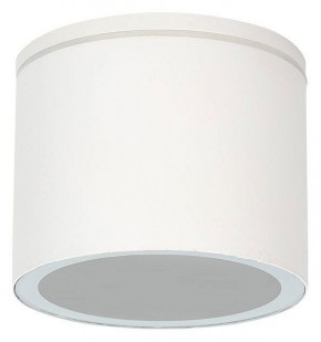 Накладной светильник Arte Lamp Piautos A1913PF-1WH в Можге - mozhga.ok-mebel.com | фото