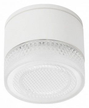 Накладной светильник Arte Lamp Piautos A1926PF-1WH в Можге - mozhga.ok-mebel.com | фото