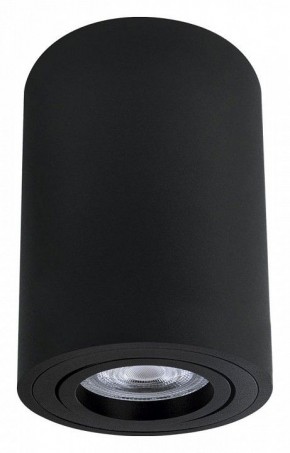 Накладной светильник Arte Lamp Sentry A1566PL-1BK в Можге - mozhga.ok-mebel.com | фото