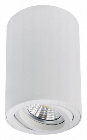 Накладной светильник Arte Lamp Sentry A1566PL-1WH в Можге - mozhga.ok-mebel.com | фото