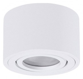 Накладной светильник Arte Lamp Unito A0550PL-1WH в Можге - mozhga.ok-mebel.com | фото