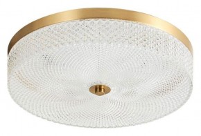 Накладной светильник Arti Lampadari Viro Viro L 1.13.35x7 G в Можге - mozhga.ok-mebel.com | фото