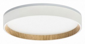 Накладной светильник Citilux Etalon CL750240 в Можге - mozhga.ok-mebel.com | фото