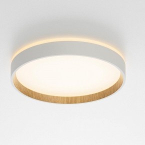 Накладной светильник Citilux Etalon CL750240 в Можге - mozhga.ok-mebel.com | фото 12