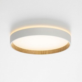 Накладной светильник Citilux Etalon CL750240 в Можге - mozhga.ok-mebel.com | фото 4