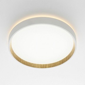 Накладной светильник Citilux Etalon CL750240 в Можге - mozhga.ok-mebel.com | фото 5