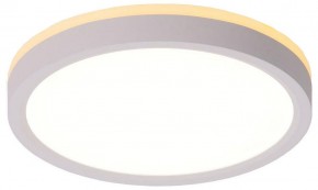 Накладной светильник Citilux NORMA CL748180 в Можге - mozhga.ok-mebel.com | фото