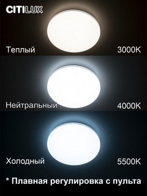 Накладной светильник Citilux Симпла CL714330G в Можге - mozhga.ok-mebel.com | фото 4