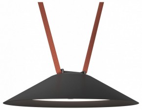 Накладной светильник Denkirs Belty Flow DK5664-BK в Можге - mozhga.ok-mebel.com | фото