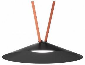 Накладной светильник Denkirs Belty Flow DK5668-BK в Можге - mozhga.ok-mebel.com | фото