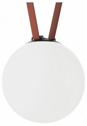 Накладной светильник Denkirs Belty Orb DK5554-BK в Можге - mozhga.ok-mebel.com | фото