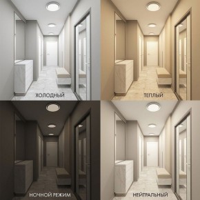 Накладной светильник Denkirs Cany DK6516-WH в Можге - mozhga.ok-mebel.com | фото 2