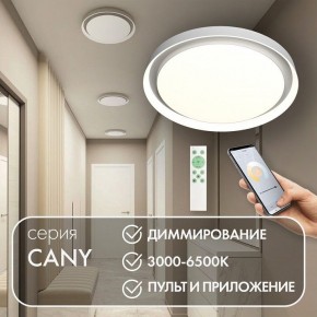 Накладной светильник Denkirs Cany DK6516-WH в Можге - mozhga.ok-mebel.com | фото 4