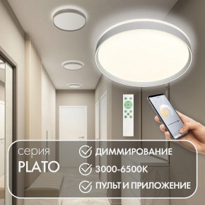 Накладной светильник Denkirs PLATO DK6511-WH/1 в Можге - mozhga.ok-mebel.com | фото 4