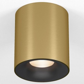 Накладной светильник Elektrostandard Primo 25116/LED в Можге - mozhga.ok-mebel.com | фото