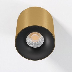 Накладной светильник Elektrostandard Primo 25116/LED в Можге - mozhga.ok-mebel.com | фото