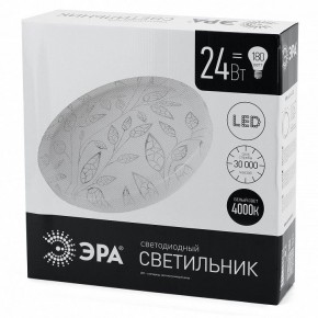 Накладной светильник Эра Классик SPB-6-24-4K (C) в Можге - mozhga.ok-mebel.com | фото 4