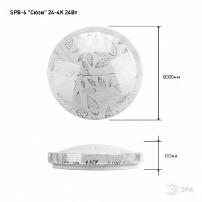 Накладной светильник Эра Классик SPB-6-24-4K (C) в Можге - mozhga.ok-mebel.com | фото 6
