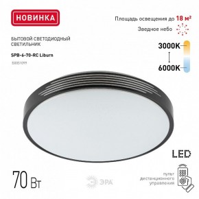 Накладной светильник Эра Классик SPB-6-70-RC Liburn в Можге - mozhga.ok-mebel.com | фото 10