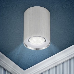 Накладной светильник Эра  OL1 GU10 SL/CH в Можге - mozhga.ok-mebel.com | фото 3