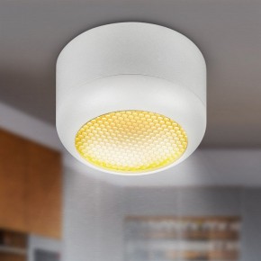 Накладной светильник Эра  OL56 WH в Можге - mozhga.ok-mebel.com | фото 8