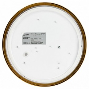 Накладной светильник Эра Relict Relict 22 SPB-6-20 4К MG в Можге - mozhga.ok-mebel.com | фото 4