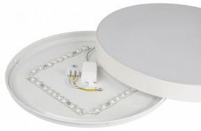 Накладной светильник Эра Relict Relict 38 SPB-6-40 4К WH в Можге - mozhga.ok-mebel.com | фото 7