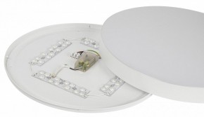 Накладной светильник Эра Relict Relict 48 Pult SPB-6-60-RC WH в Можге - mozhga.ok-mebel.com | фото 11