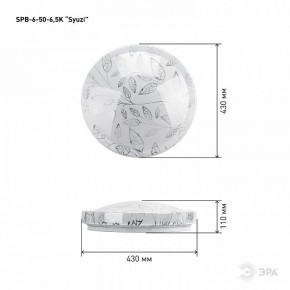 Накладной светильник Эра Relict SPB-6-50-6,5K Syuzi в Можге - mozhga.ok-mebel.com | фото 3