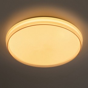 Накладной светильник Эра  SPB-6-80-RC Solar RGBD в Можге - mozhga.ok-mebel.com | фото 2