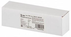 Накладной светильник Эра  TRM-S5-1-6W4K-WH в Можге - mozhga.ok-mebel.com | фото 6