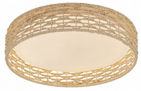 Накладной светильник F-promo Conrad 4749-4C в Можге - mozhga.ok-mebel.com | фото 2