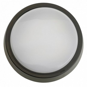 Накладной светильник Feron AL3020 51474 в Можге - mozhga.ok-mebel.com | фото 4