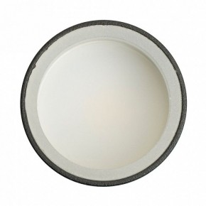 Накладной светильник Feron ML100 51369 в Можге - mozhga.ok-mebel.com | фото 8