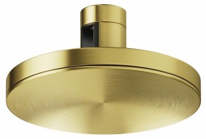 Накладной светильник Maytoni Plato TR152-1-7W4K-BS в Можге - mozhga.ok-mebel.com | фото