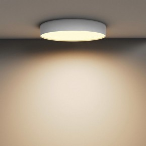 Накладной светильник Maytoni Zon C032CL-45W2.7K-RD-W в Можге - mozhga.ok-mebel.com | фото 4