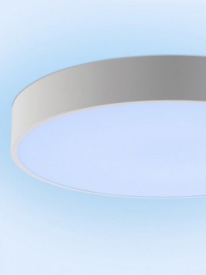 Накладной светильник Natali Kovaltseva MODERN LED LAMPS 81105/1C в Можге - mozhga.ok-mebel.com | фото 11