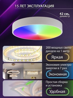 Накладной светильник Natali Kovaltseva MODERN LED LAMPS 81105/1C в Можге - mozhga.ok-mebel.com | фото 6