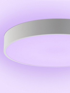 Накладной светильник Natali Kovaltseva MODERN LED LAMPS 81105/1C в Можге - mozhga.ok-mebel.com | фото 9