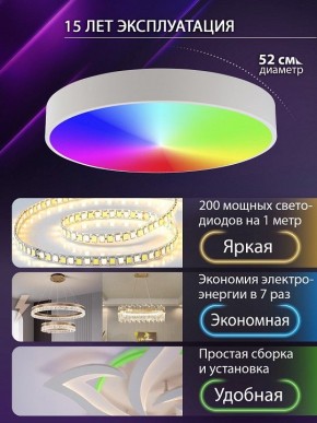 Накладной светильник Natali Kovaltseva MODERN LED LAMPS 81105/2C в Можге - mozhga.ok-mebel.com | фото 6