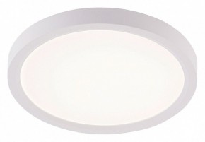 Накладной светильник Natali Kovaltseva PLAIN LED LAMPS 81113/1C в Можге - mozhga.ok-mebel.com | фото