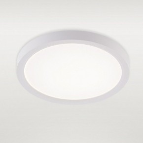 Накладной светильник Natali Kovaltseva PLAIN LED LAMPS 81113/1C в Можге - mozhga.ok-mebel.com | фото 2