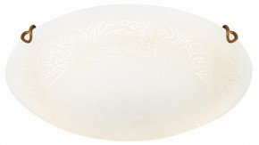 Накладной светильник Sonex Ammonite 7602/DL в Можге - mozhga.ok-mebel.com | фото 3