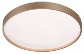 Накладной светильник Sonex Gaby 7783/DL в Можге - mozhga.ok-mebel.com | фото 3