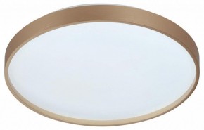 Накладной светильник Sonex Gaby 7783/DL в Можге - mozhga.ok-mebel.com | фото 4