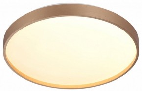 Накладной светильник Sonex Gaby 7783/DL в Можге - mozhga.ok-mebel.com | фото 5