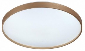 Накладной светильник Sonex Gaby 7783/EL в Можге - mozhga.ok-mebel.com | фото 4